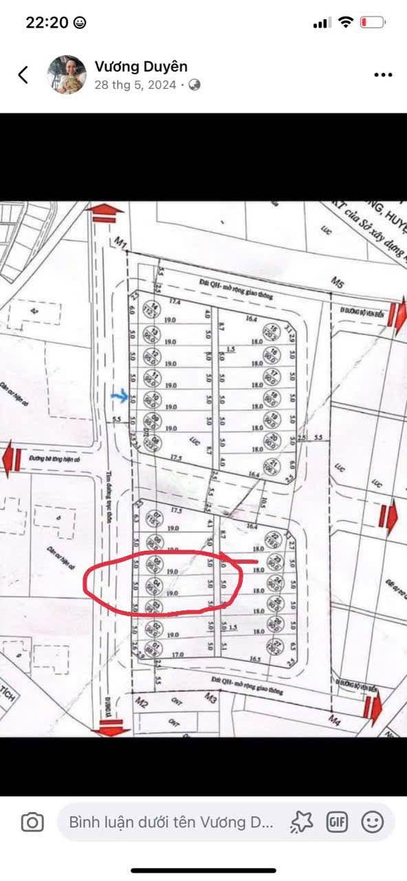 Đất nền Nam Cường Tiền Hải 95m² giá 1 tỷ - Mặt tiền đường trục