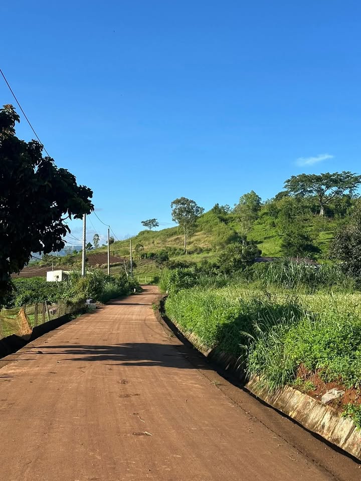 Đất nền 1ha mặt tiền Quốc lộ 20, Liên Nghĩa, Đức Trọng - Giá chỉ 72 tỷ!