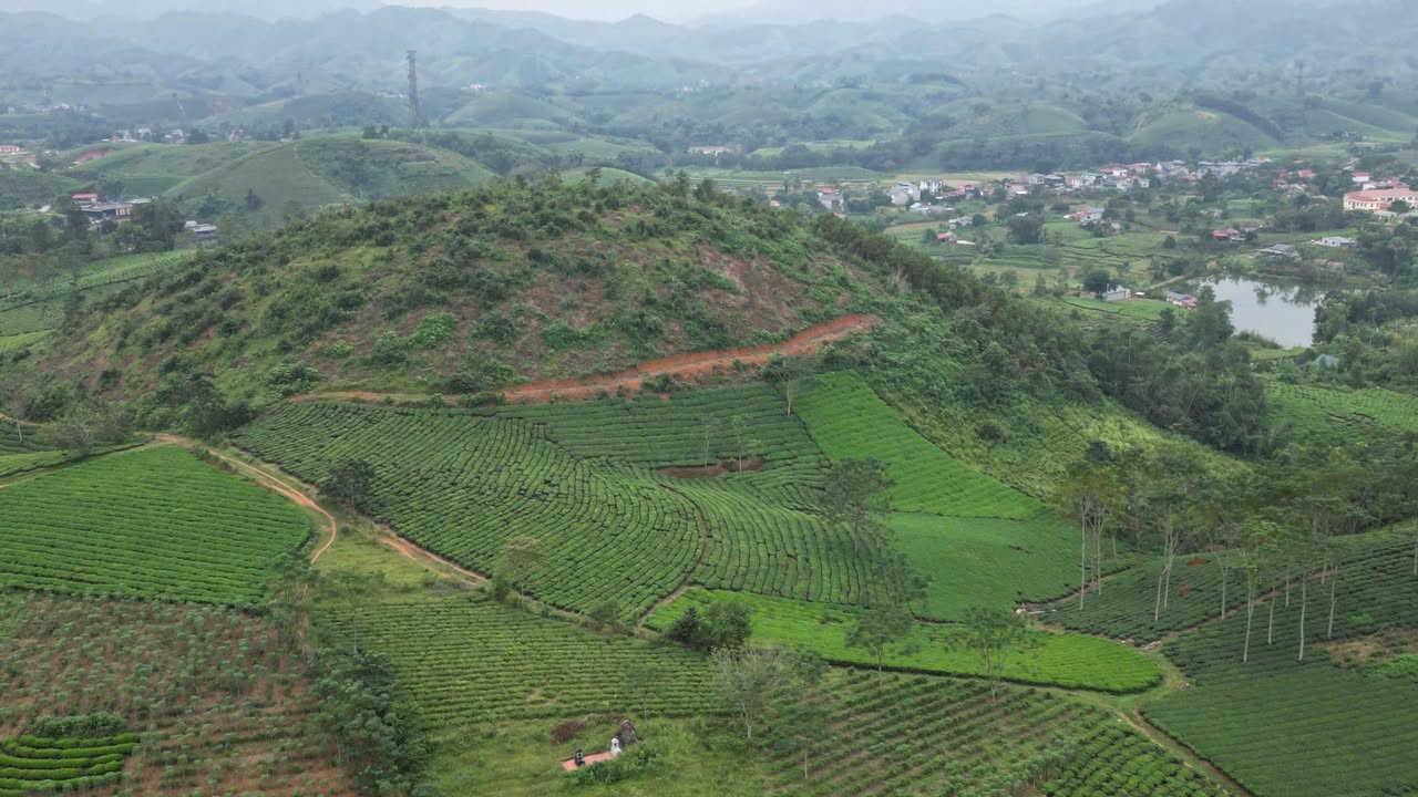 Đất thổ cư 6000m² tại Xuân Đài, Tân Sơn, Phú Thọ - Giá 1 tỷ, view đẹp nghỉ dưỡng!