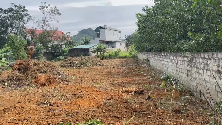 Đất thổ cư 50m² tại Sơn Lai, Nho Quan, Ninh Bình - Đầu tư sinh lời tuyệt vời!