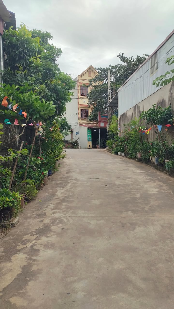 Đất nền đẹp tại Lục Ngạn Bắc Giang 350m² giá 3 tỷ – Cơ hội đầu tư hấp dẫn!