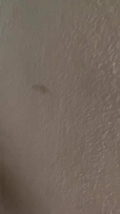 Phòng trọ Bỉm Sơn giá 700k - 850k, đầy đủ tiện nghi, sẵn sàng ở ngay!