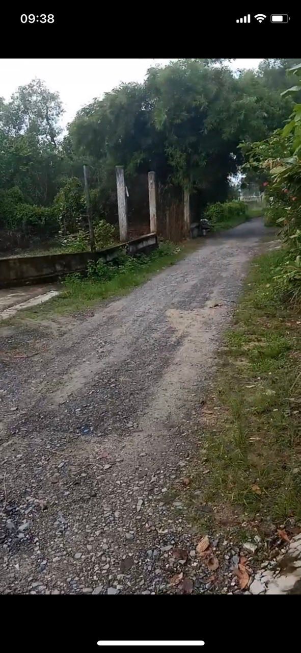 Bán đất Tân An Hội, Củ Chi 100m² giá chỉ 380 triệu - Cơ hội đầu tư tuyệt vời!