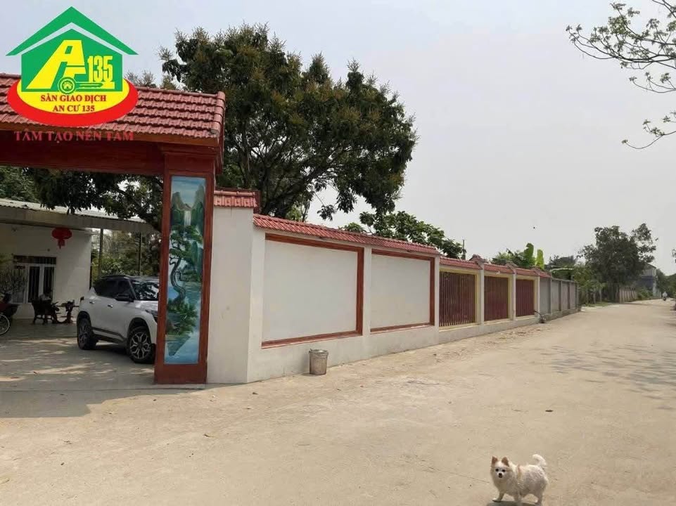 Farm 8000m² Gia Vân Gia Viễn giá 8 tỷ - Đất rộng lý tưởng cho homestay