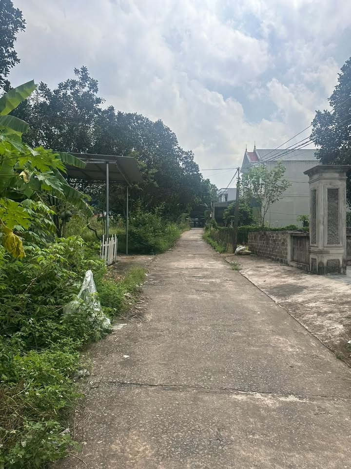 Đất nền Gia Sinh Ninh Bình 167m² giá 2 tỷ - Đầu tư sinh lời ngay!