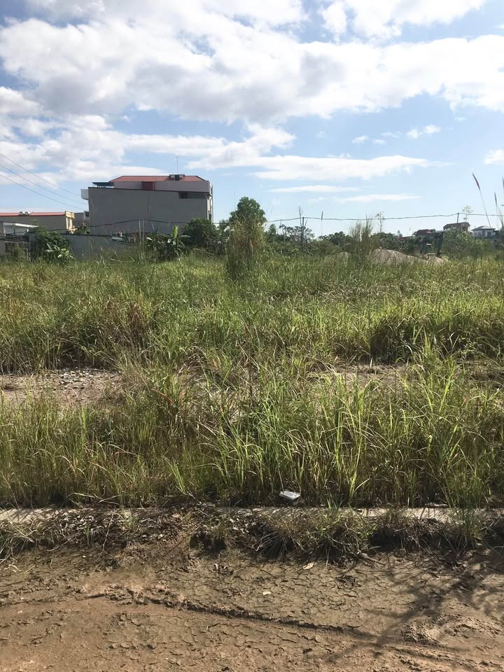 Đất nền đẹp tại Đống Lâu, Thanh Vân, Tam Dương 108m² - Giá hấp dẫn chỉ 2 tỷ!