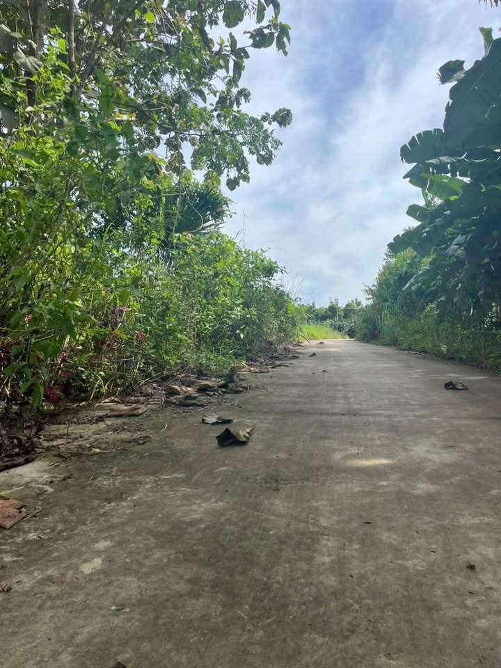 Đất nền nghỉ dưỡng Định Quán 3600m² giá 600 triệu - Đầu tư sinh lời ngay!