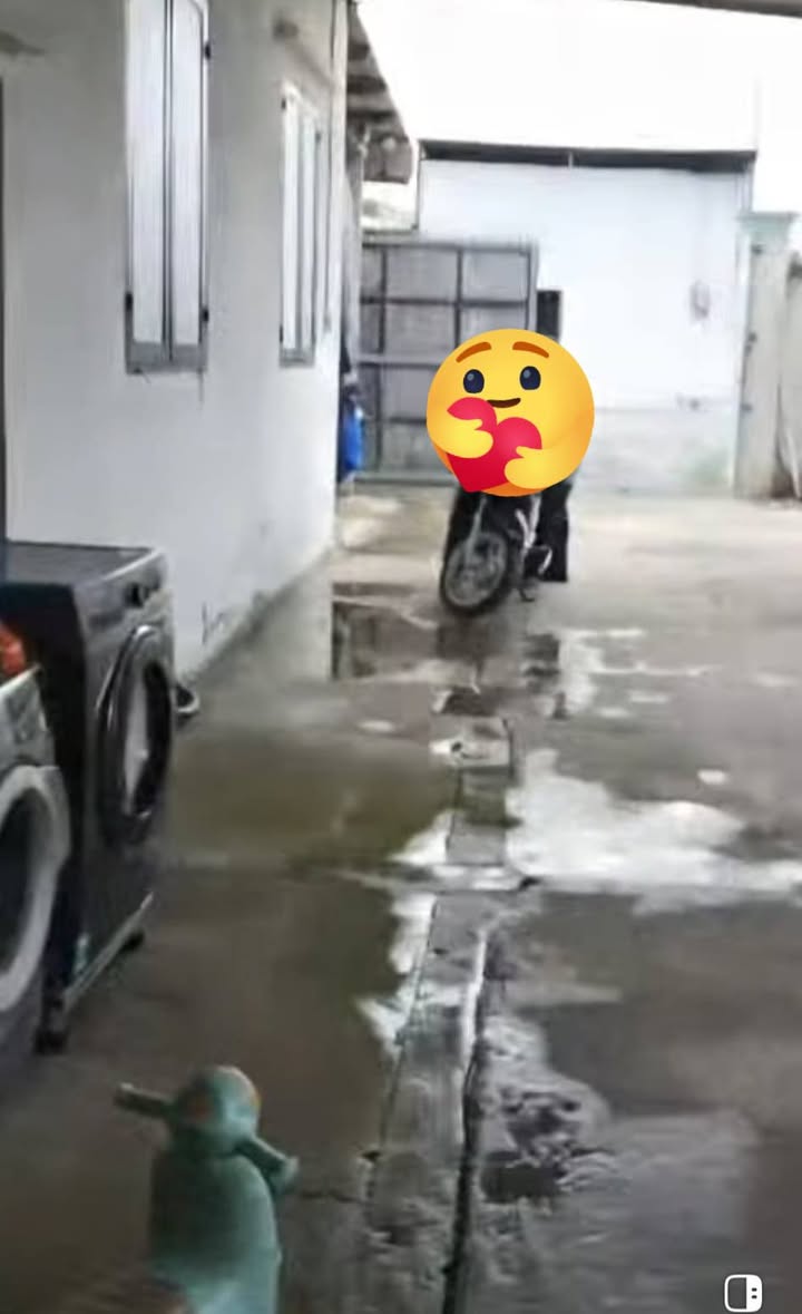 Nhà xưởng Củ Chi 2800m² giá 10 tỷ - Phù hợp sản xuất hoặc nhà vườn!