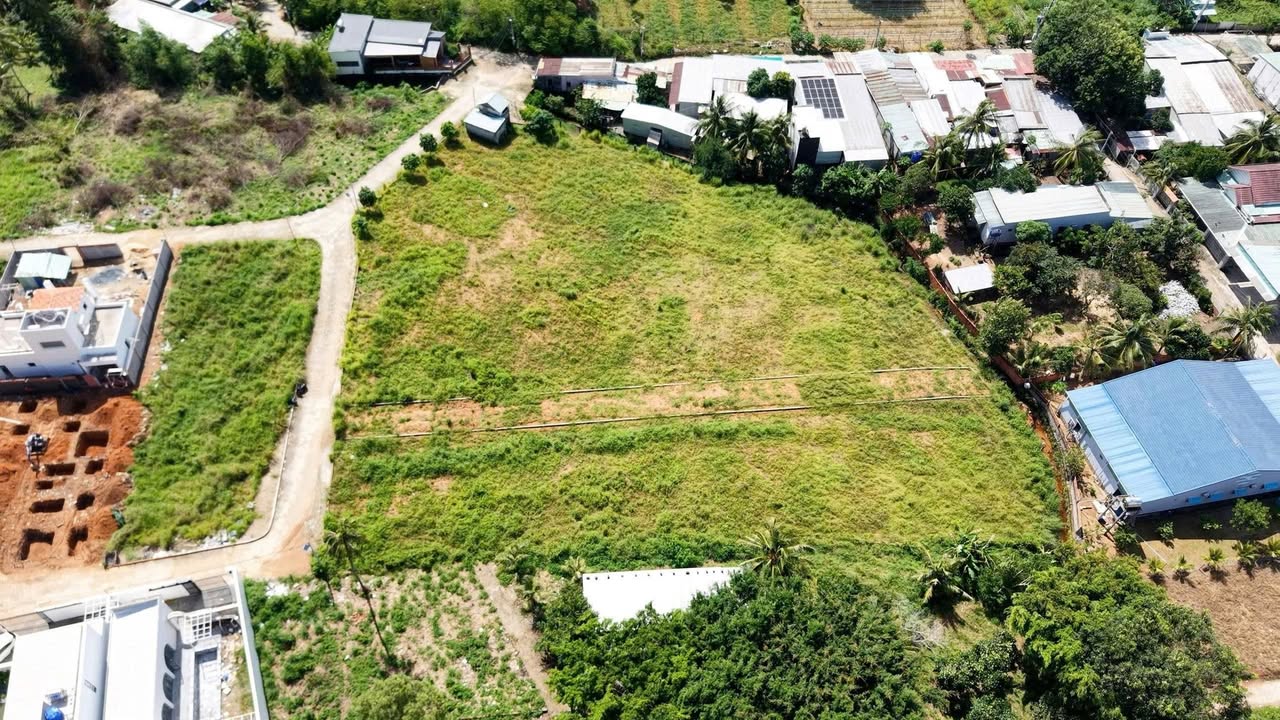 Đất nền đường Bào, Phú Quốc 500m² giá chỉ 3 tỷ - Vị trí đắc địa không dính dự án!