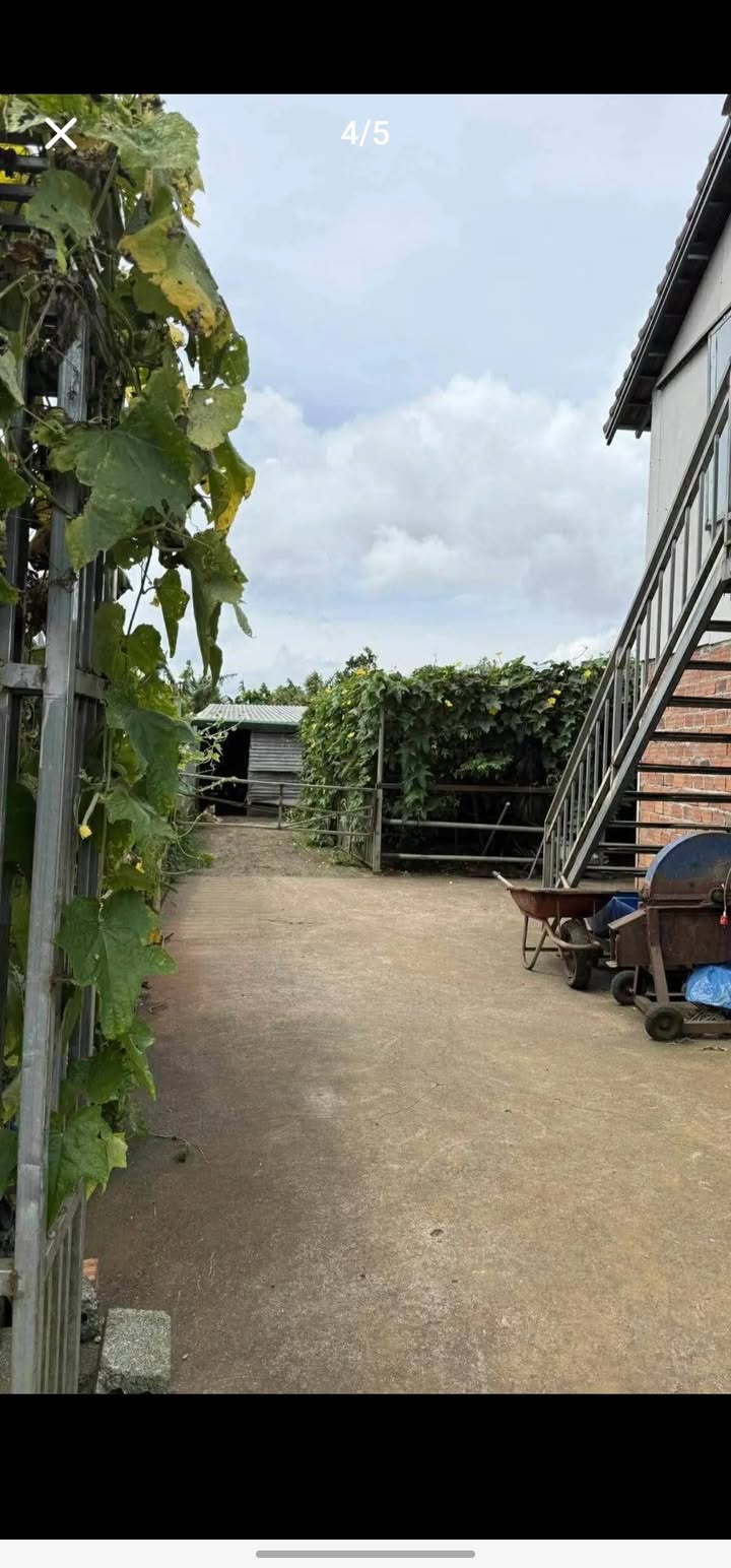 Bán đất tặng nhà hẻm Trần Nhật Duật 398m² giá chỉ 2,2 tỷ - Cơ hội đầu tư tuyệt vời!