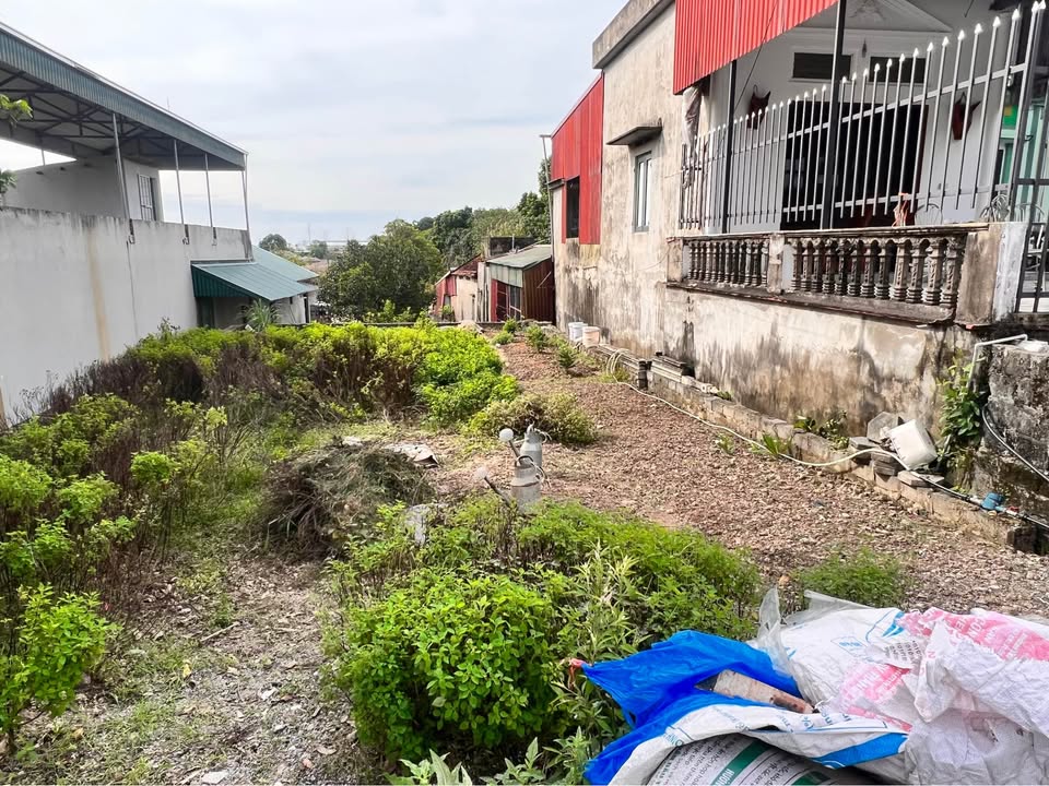 Đất nền mặt Quốc lộ 38 Đại Cương Kim Bảng 131m² - Tiềm năng tăng giá vượt trội!