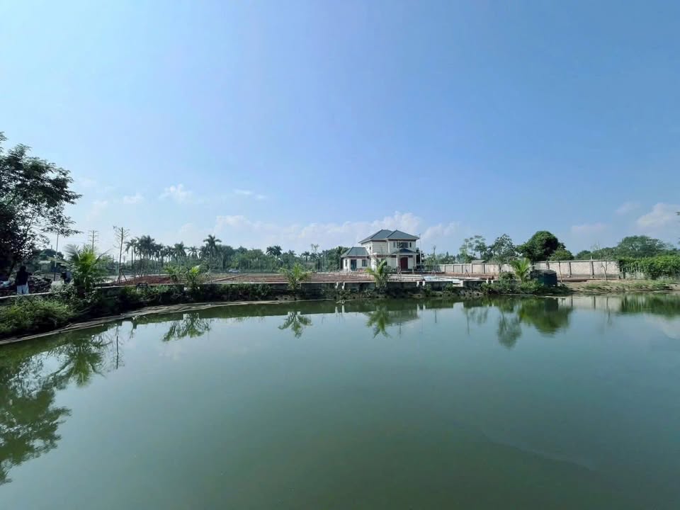 Đất nền Cổ Đông 100m² giá chỉ 3 tỷ - Đầu tư tiềm năng không thể bỏ lỡ!