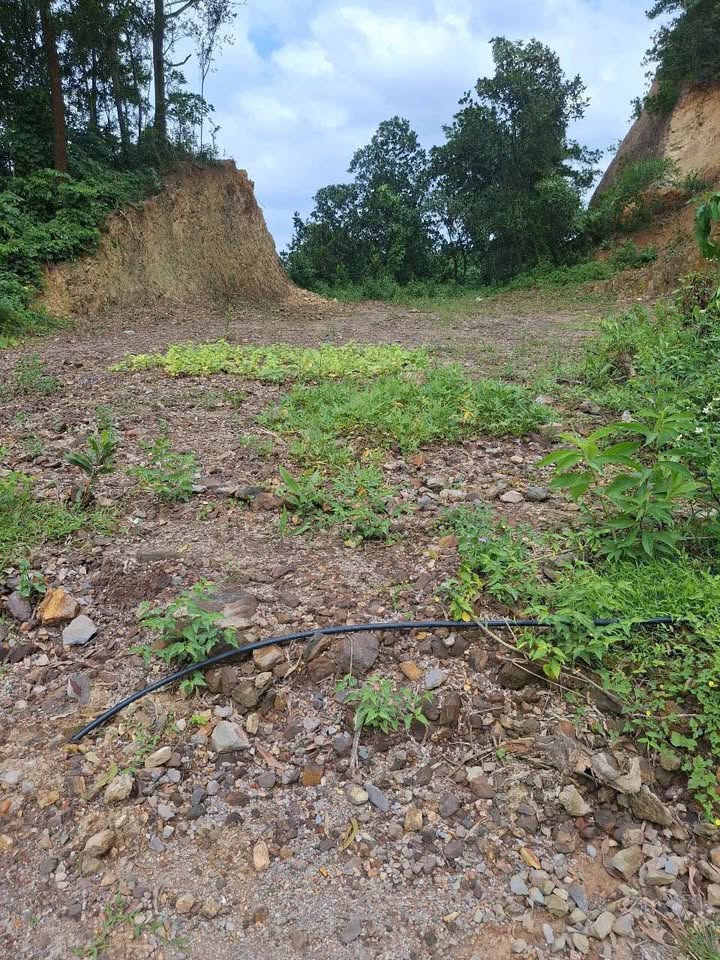 Đất nền Tân Thanh, Thanh Liêm 96m² giá 1 tỷ - Cơ hội đầu tư tuyệt vời!