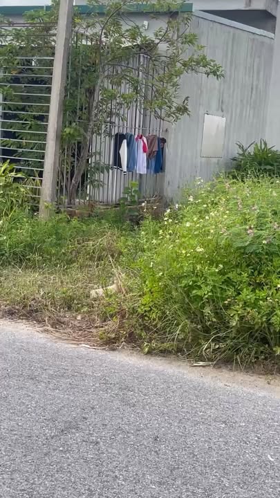 Đất thổ cư Thái Hưng Thái Thụy 125m² giá 1 tỷ - Sổ đỏ chính chủ!