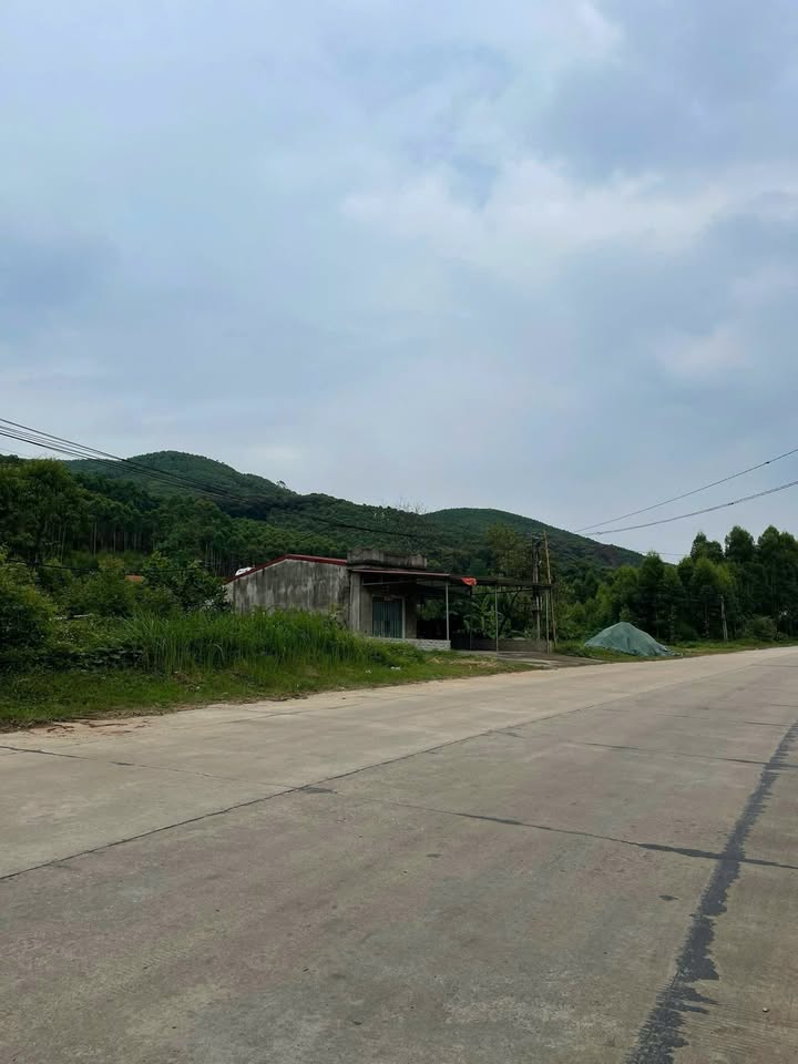 Đất mặt đường TL293 Lục Nam 143m² giá 900 triệu - Cơ hội đầu tư sinh lời!