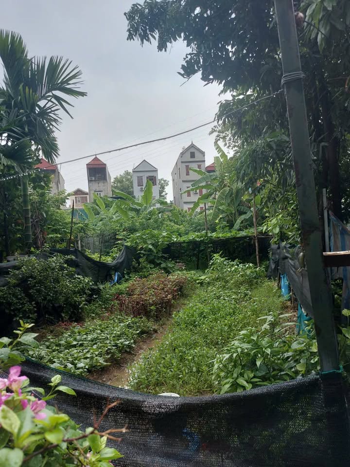 Đất mặt phố Đông Ngạc 40m² giá 5 tỷ - Kinh doanh thuận lợi, ô tô tránh nhau!