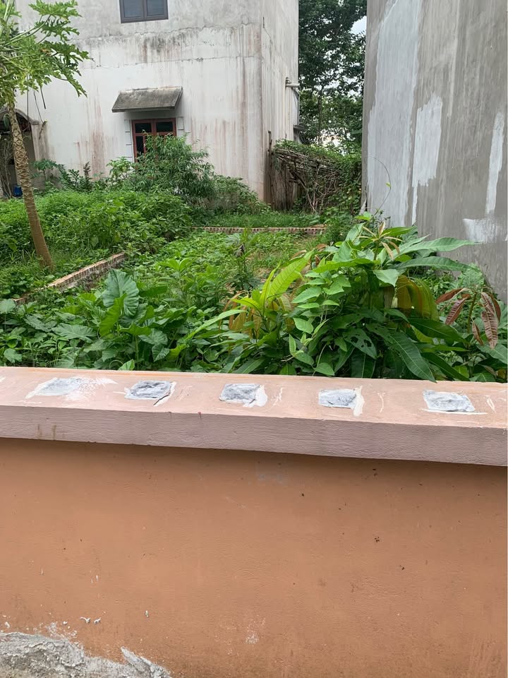 Lô đất Kim Sơn - Gia Lâm 40m² giá 3 tỷ - Cơ hội đầu tư tuyệt vời!