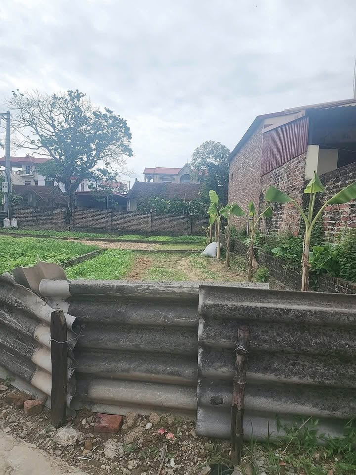 Đất nền 50m² Bắc Phú, Sóc Sơn giá 1.1 tỷ - Cơ hội đầu tư tuyệt vời!