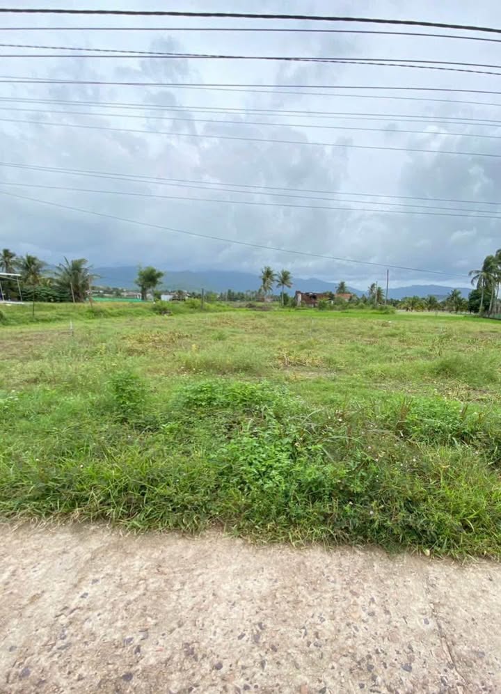 Bán đất thổ cư 210m² tại xã Cát Trinh, huyện Phù Cát - Sổ đỏ chính chủ, giá chỉ 600 triệu!