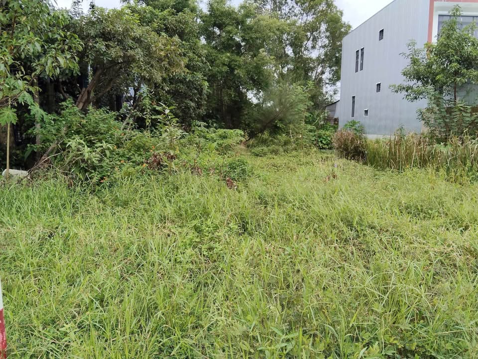 Đất nền Hương Thủy 200m² giá thỏa thuận - Mặt tiền đường Thuận Hóa, sát bên bệnh viện