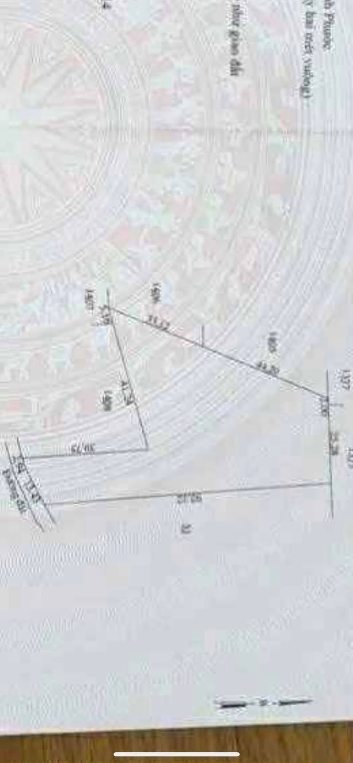 Đất Farm 3 Sào Thanh Lương Bình Long 1.08ha giá 650 triệu - Đầu tư sinh lời ngay!