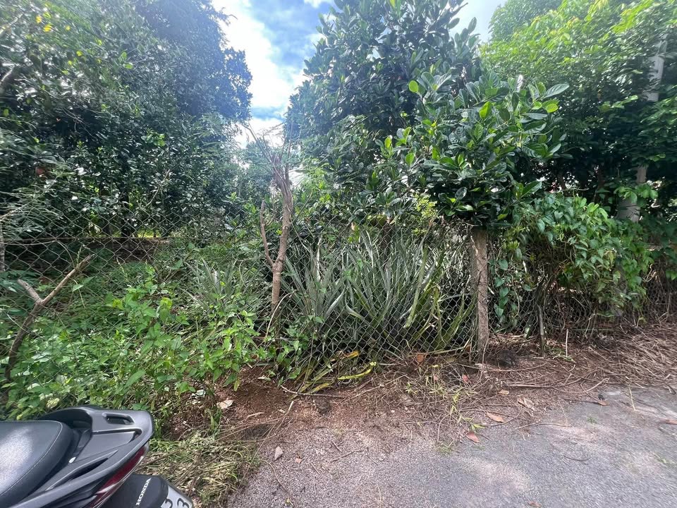 Đất nền Phú Thịnh Tân Phú 200m² giá 380 triệu - Cơ hội đầu tư tuyệt vời!