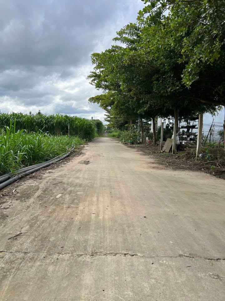 Lô đất Phú Hội - Đức Trọng 110m² giá 1.05 tỷ - Sẵn sàng xây dựng!