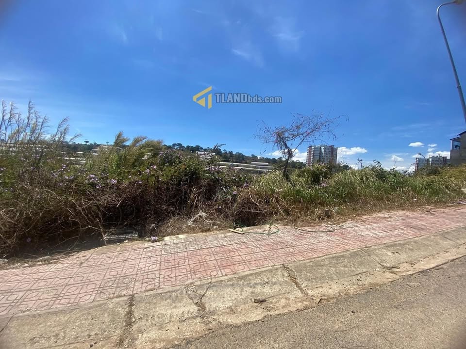 Đất mặt tiền Nguyễn Hoàng Phường 7 Đà Lạt 99m² giá 3.6 tỷ - Sổ riêng, pháp lý đầy đủ!