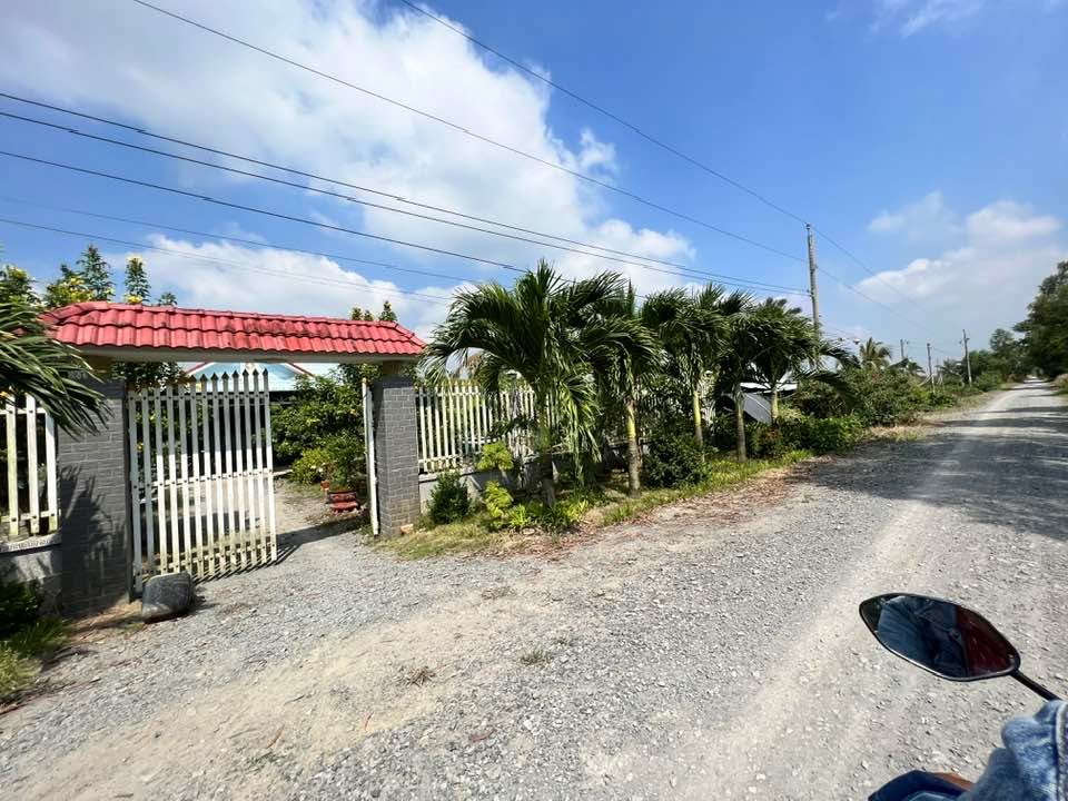 Đất thổ cư lô góc 250m² mặt tiền kênh 4 - Tân Thành, Thủ Thừa - 1.39 tỷ, sang tên nhanh!