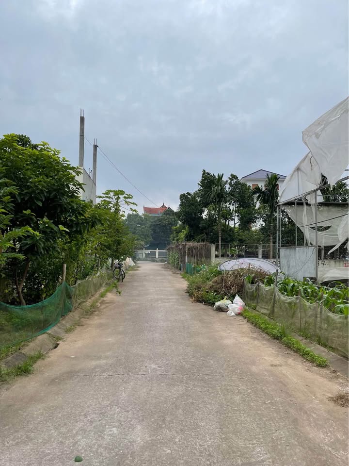 Đất nền Yên Nam Duy Tiên 95m² giá 200 triệu - Cơ hội đầu tư hấp dẫn!