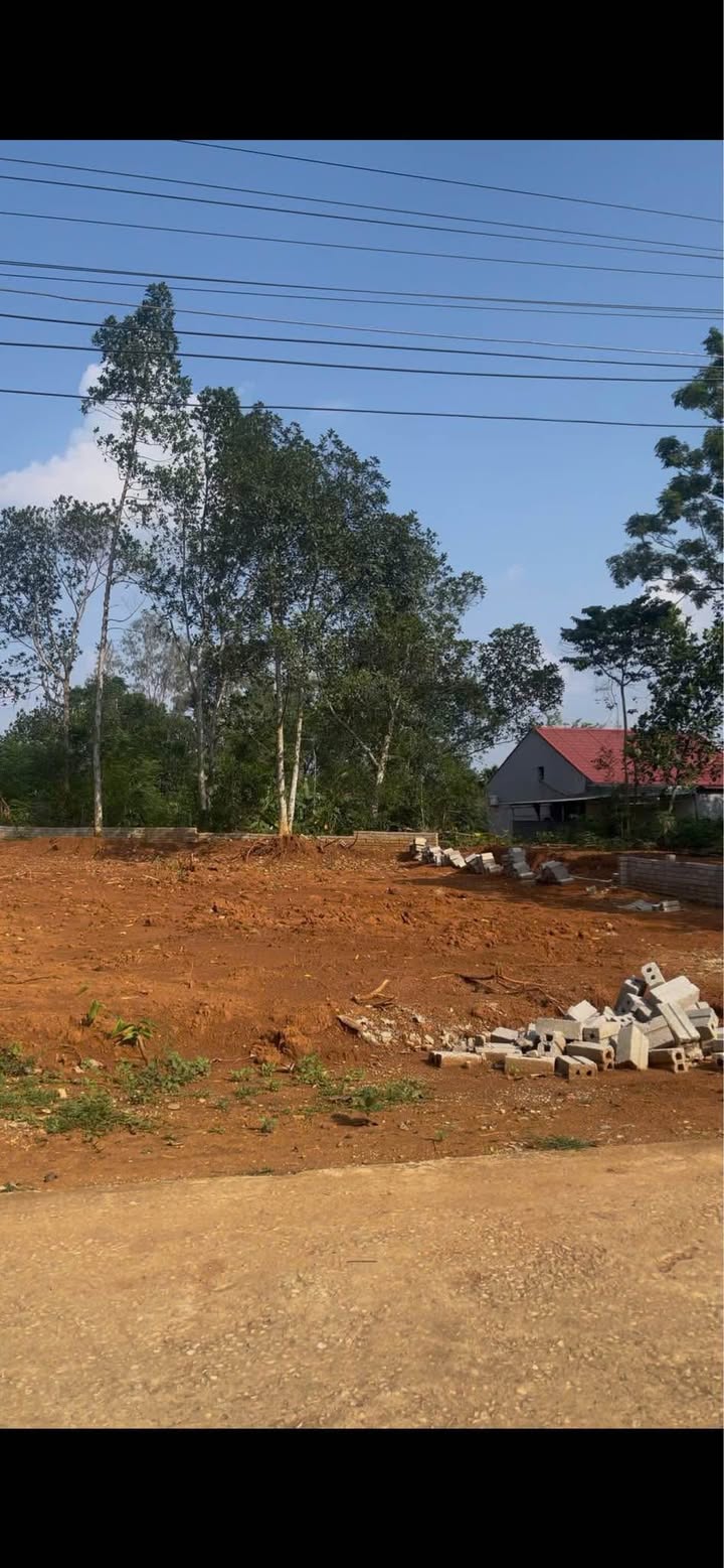 Đất nền Thọ Phú, Triệu Sơn 145m² giá thỏa thuận - Đầu tư sinh lời ngay!