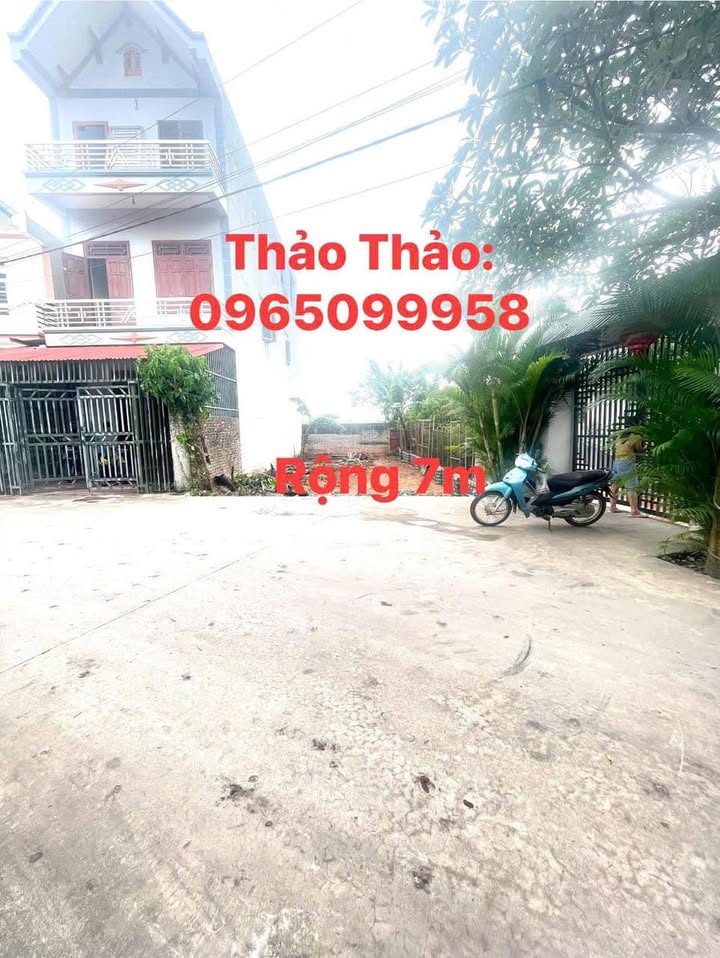 Đất thổ cư Tân Dĩnh Lạng Giang 98m² giá 1.6 tỷ - Đầu tư sinh lời ngay!