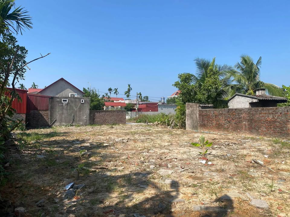 Đất An Thọ 226m² giá chỉ vài trăm triệu - Cơ hội đầu tư hiếm có!