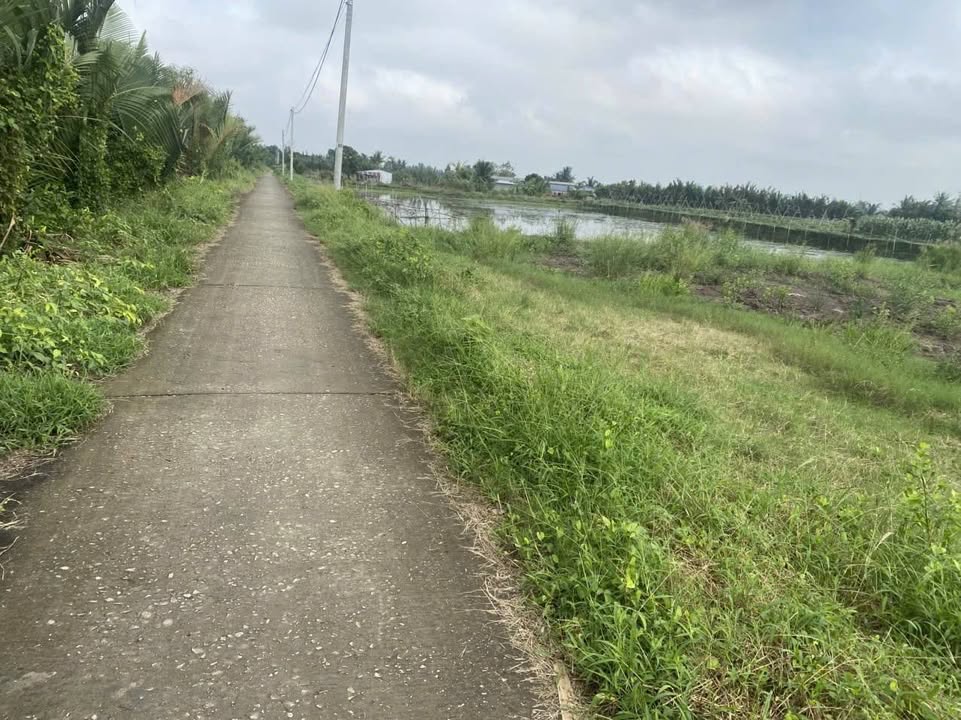 Đất nền mặt tiền đường Đank ô tô 2160m² giá 3.456 tỷ - Đầu tư sinh lời ngay!