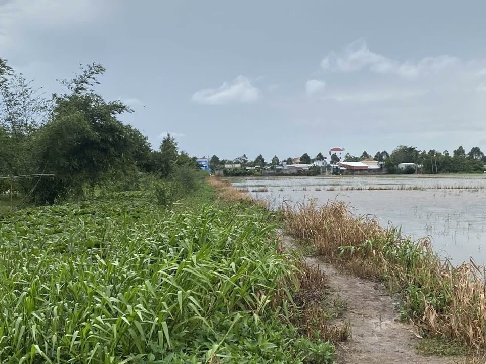 Đất nền mặt tiền kênh phường 5 Sóc Trăng 9804m² giá 399 triệu - Cơ hội đầu tư tuyệt vời!