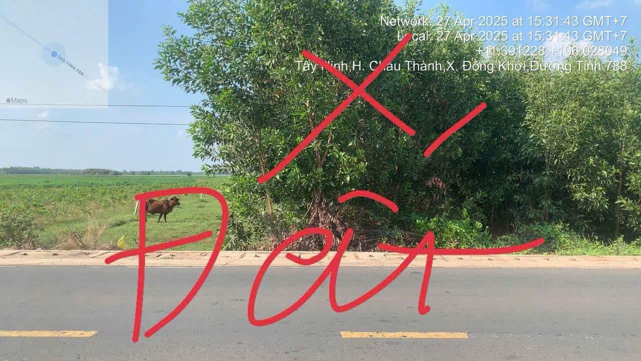 Đất nền mặt tiền đường TL 788, Châu Thành, Tây Ninh 960m² - Giá thỏa thuận hấp dẫn!