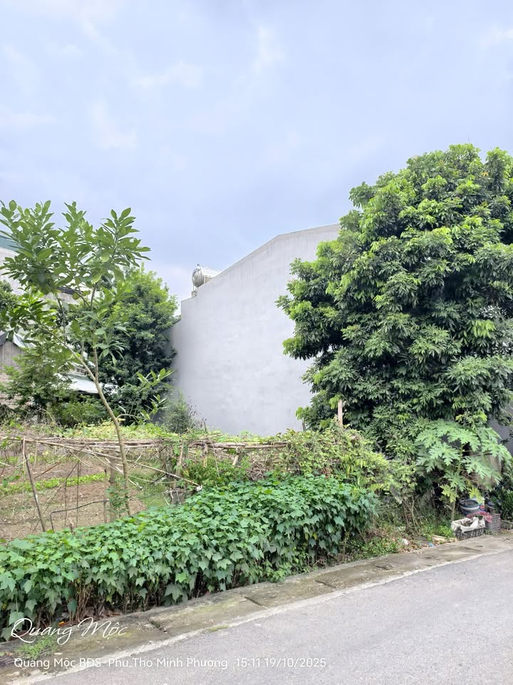 Đất ở phường Minh Phương, TP Việt Trì 100m² - Vị trí đẹp, đầu tư sinh lời!