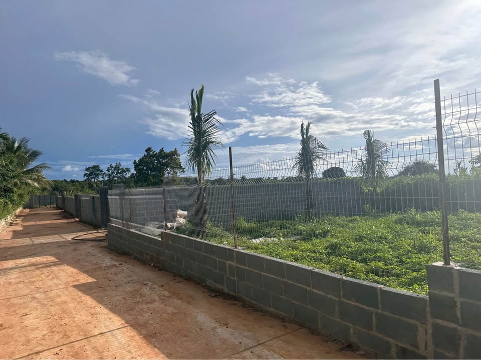 Đất làm nhà vườn 500m² tại Buôn Ma Thuột - Sổ đỏ chính chủ, giá thỏa thuận!