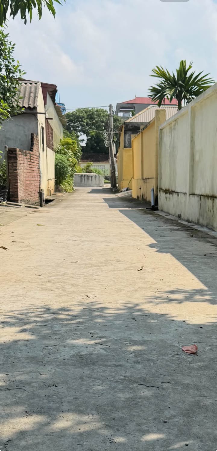 Đất nền Phú Hòa Lương Tài 100m² giá chỉ 1.7 tỷ - Vị trí đắc địa, tiện ích đầy đủ!