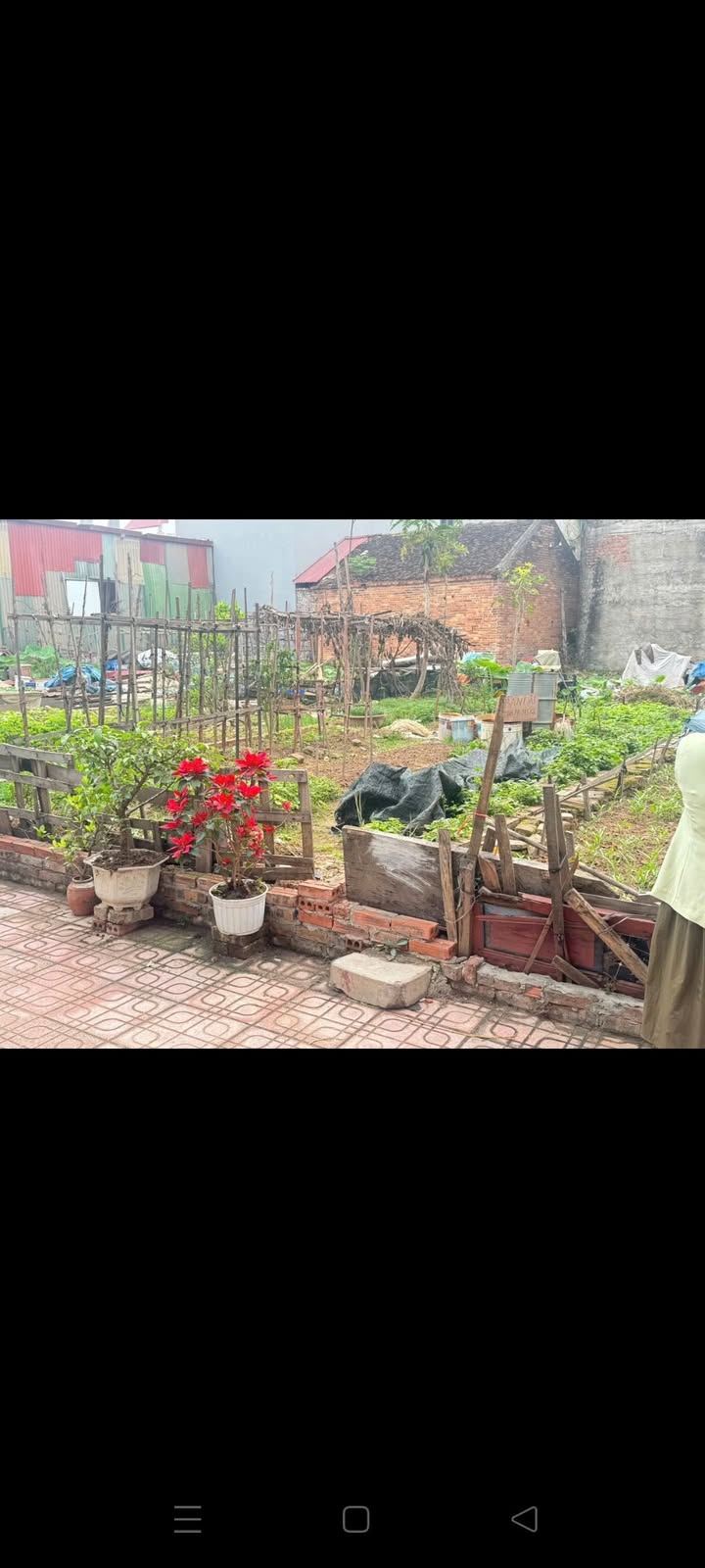 Lô đất Phù Khê, Từ Sơn 98m² giá 2 tỷ - Đầu tư sinh lời ngay!