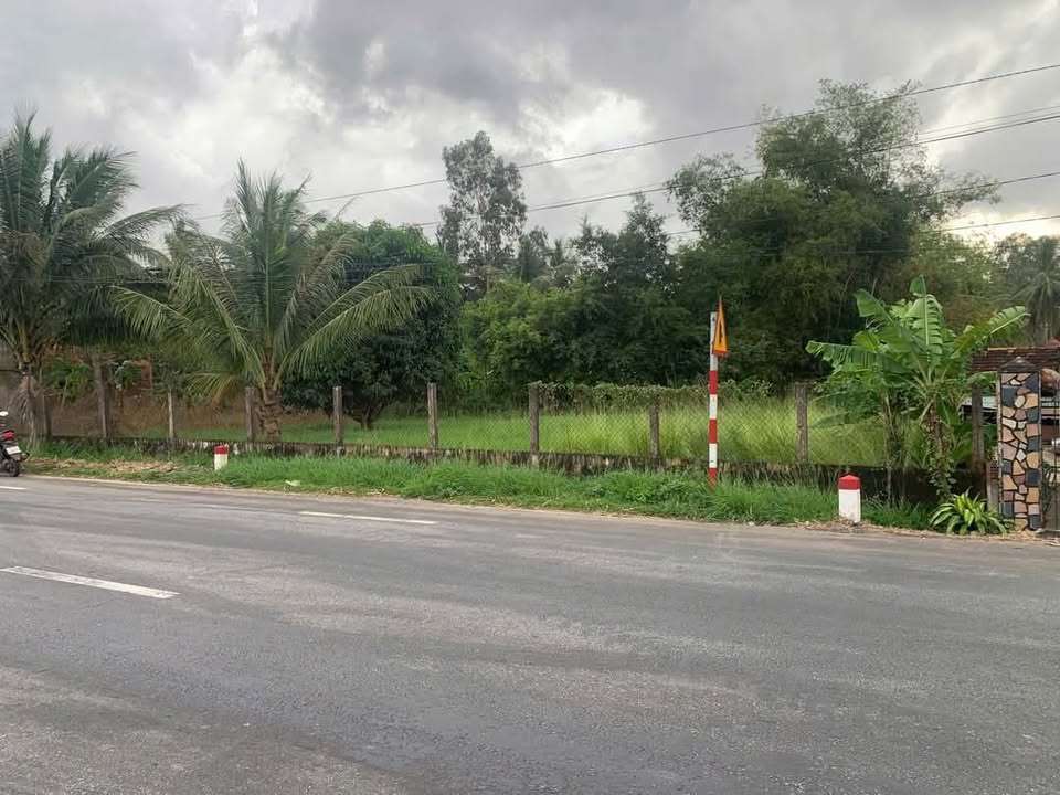 Đất mặt tiền Quốc lộ 1A, xã Mỹ Lộc, Bình Định 1000m² - Giá chỉ 2 tỷ, đầu tư sinh lời!