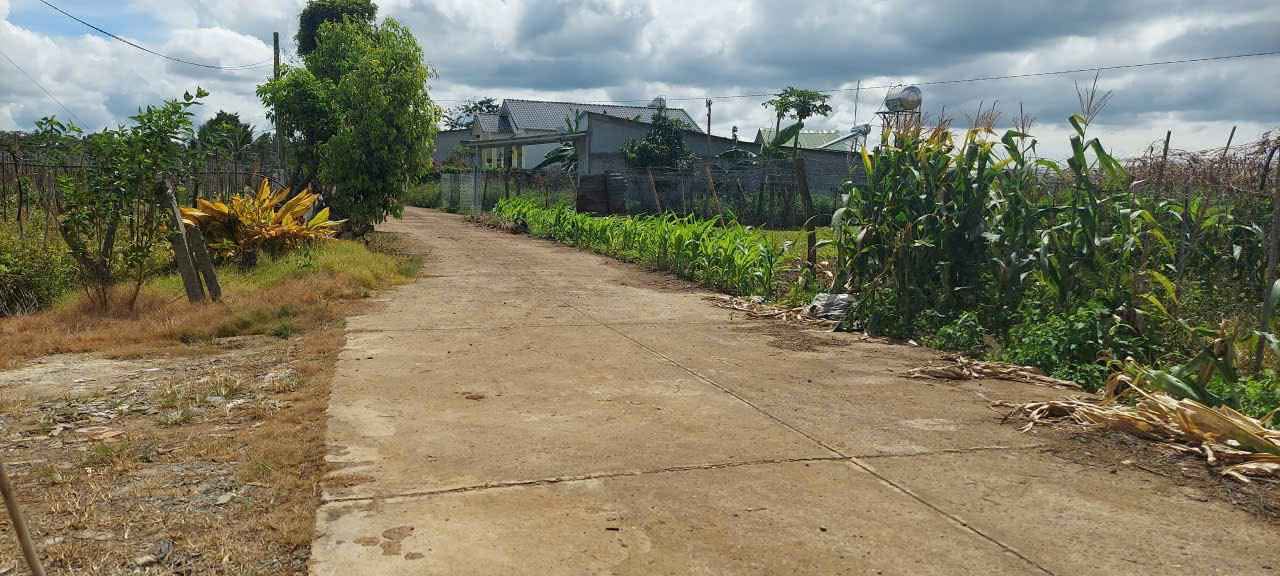 Đất Tân Hội, Đức Trọng 1823m² giá 3.2 tỷ - Đầu tư sinh lời ngay!