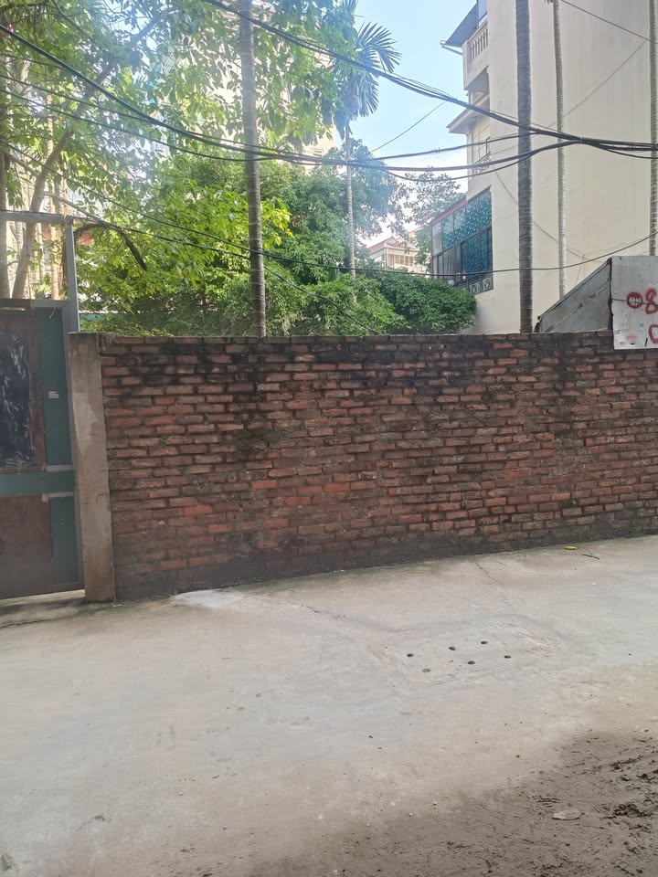 Đất Phú Thượng Tây Hồ 140m² mặt tiền 6.5m - Ô tô vào tận nơi!