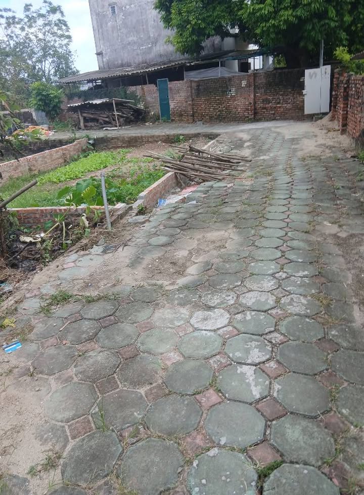 Đất nền Đặng Xá Gia Lâm 45m² giá 3.6 tỷ - Sổ vuông đẹp, gần ô tô!