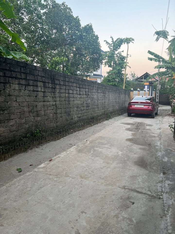 Đất tại Danh Thắng, Hiệp Hòa 100m² chỉ 800 triệu - Đầu tư sinh lời ngay!