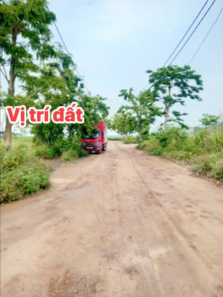 Đất nền Khu phố Rặng Sắn, Thanh Oai 100m² giá 5.7 tỷ - Cơ hội vàng cho nhà đầu tư!