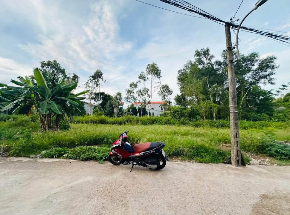 Đất Biệt Thự Kiệt 82 Quảng Tế, Thủy Xuân, Huế 101m² giá 1.8 tỷ - Vị trí lý tưởng cho đầu tư!