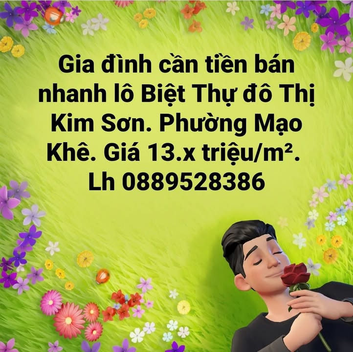 Biệt thự Khu đô Thị Kim Sơn, Đông Triều 300m² giá chỉ 3.9 tỷ - Cơ hội đầu tư tốt!