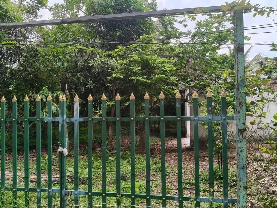 Lô đất Long Phước, Long Hồ 816m² giá 2.592 tỷ - Đất đẹp, yên tĩnh, thích hợp xây nhà