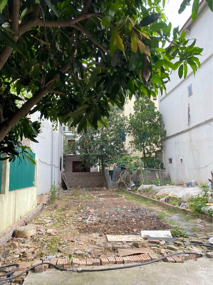 Đất nền Trung Oai Tiên Dương 80m² giá chỉ 7x triệu - Cơ hội đầu tư vàng!